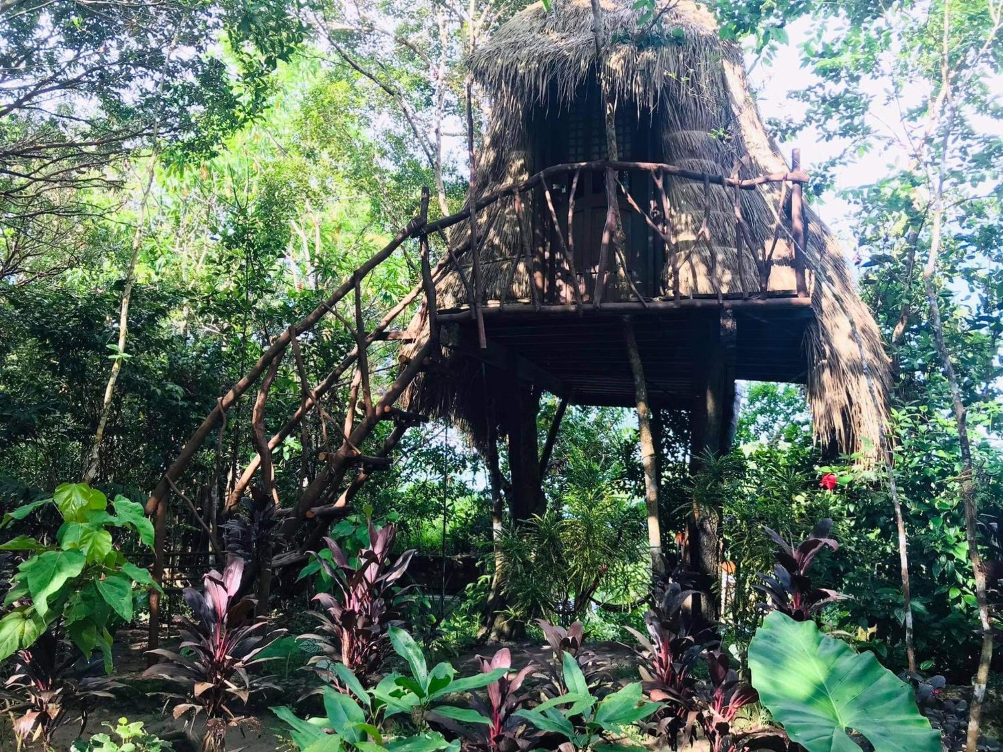 Sanctuaria Treehouses Busuanga Exterior photo
